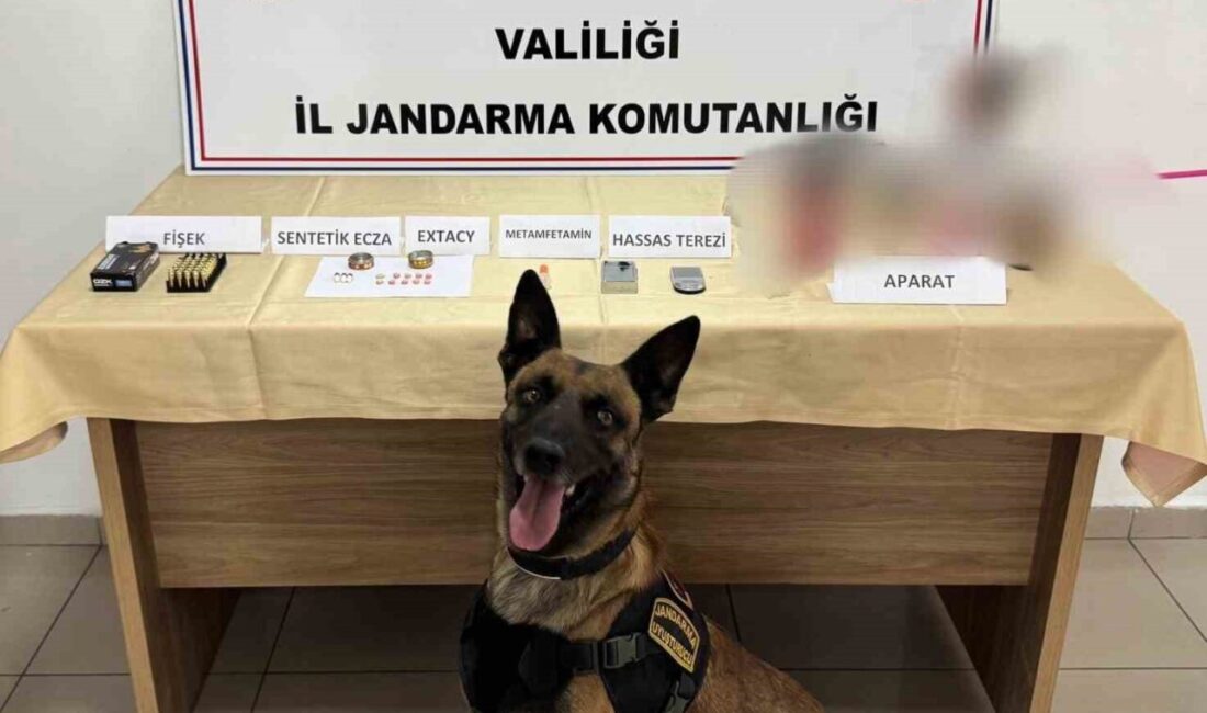 Afyonkarahisar’da bir eve baskın düzenleyen jandarma ekipleri değişik tür ve