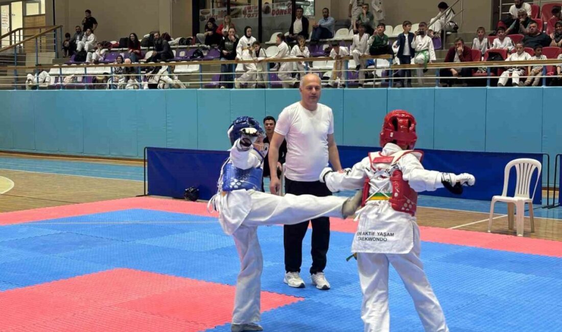 23 Nisan Ulusal Egemenlik ve Çocuk Bayramı kapsamında düzenlenen Taekwondo