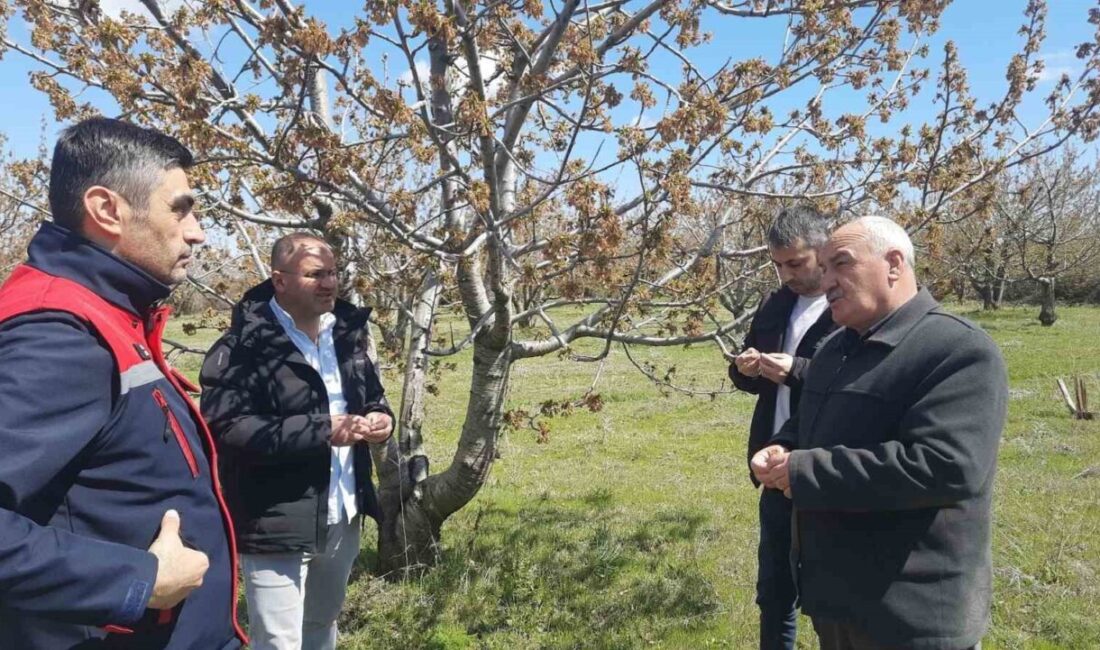 Afyonkarahisar’da 10-12 Nisan tarihleri arasında kent genelinde etkili olan ani