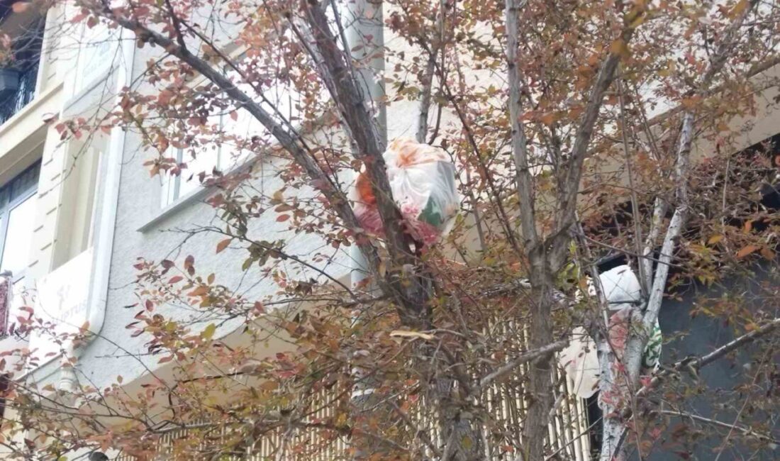 Eskişehir’deki bir cadde kenarındaki ağacın dallarında gözüken içi çöp dolu