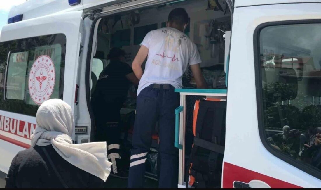 Bilecik’te meydana gelen trafik kazasında, seyir halindeki bir otomobilin çarptığı