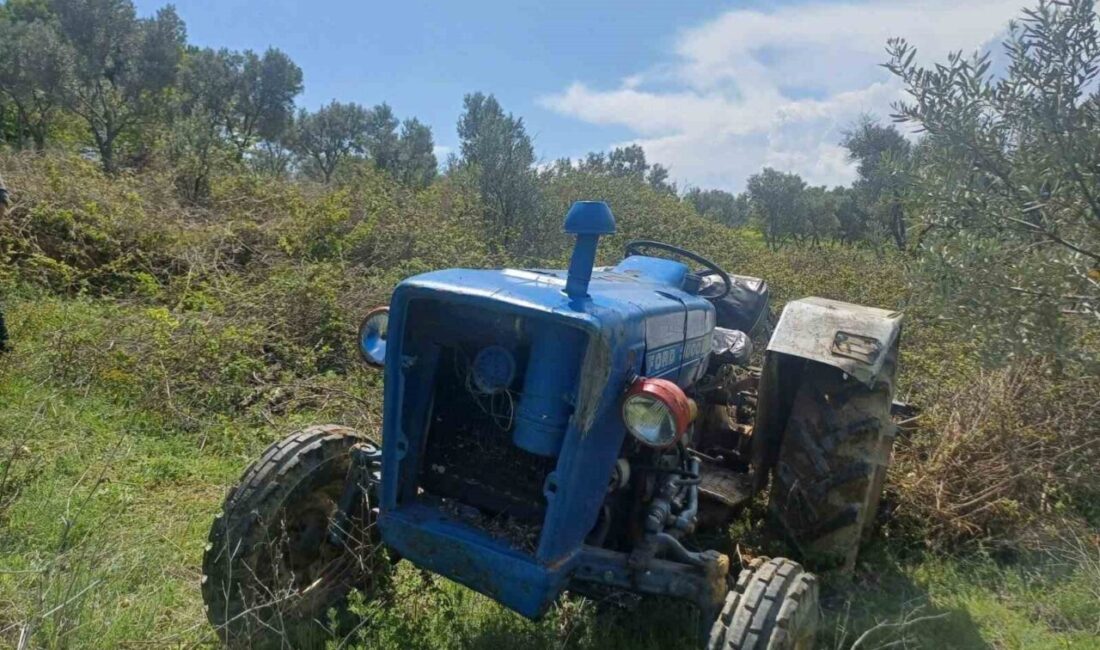 Bilecik’te seyir halinde iken bin anda adeta şaha kalkarak devrilen