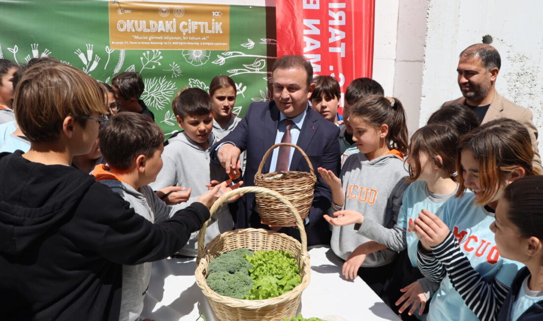 MUĞLA (AA) – Muğla'nın Bodrum ilçesinde "Okuldaki Çiftlik Projesi" kapsamında