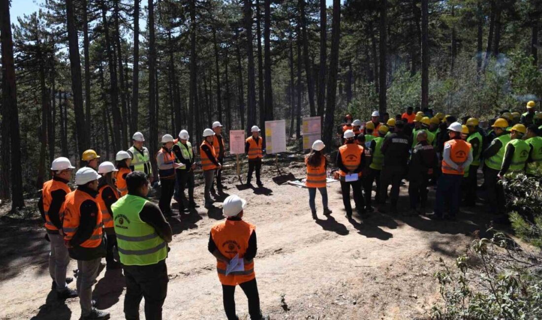 Eskişehir Orman Bölge Müdürlüğü’nün düzenlediği üretim tatbikatları, Mihalıççık ve Çatacık