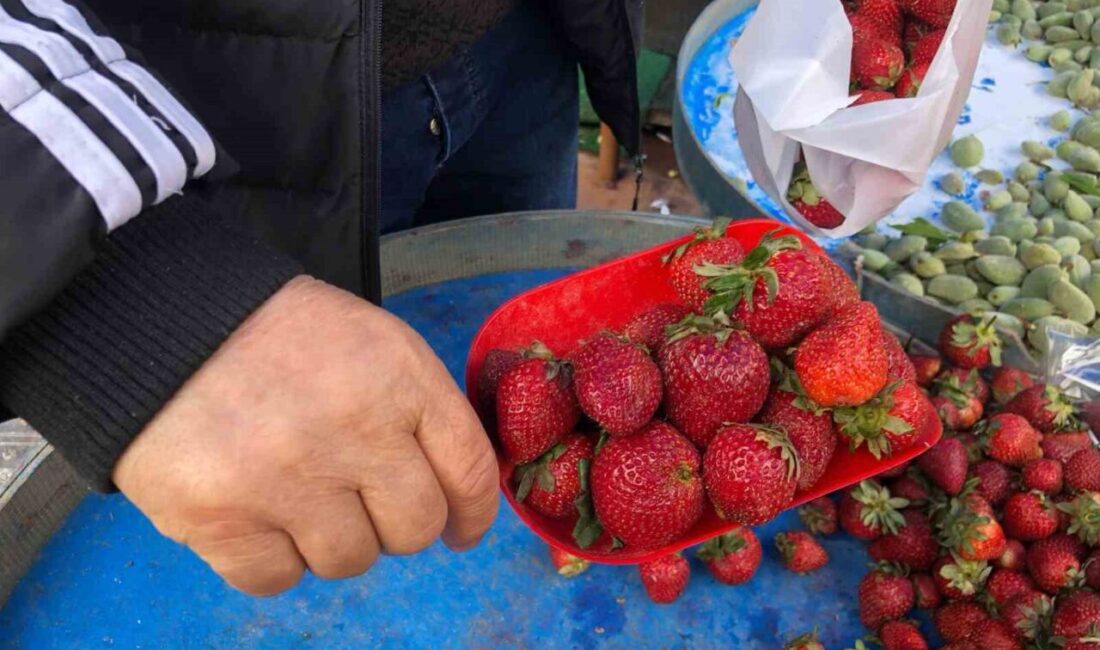 Eskişehirli esnaf Selahattin Arslanbenzer, vatandaşların pahalı ürünün daha kaliteli olduğu