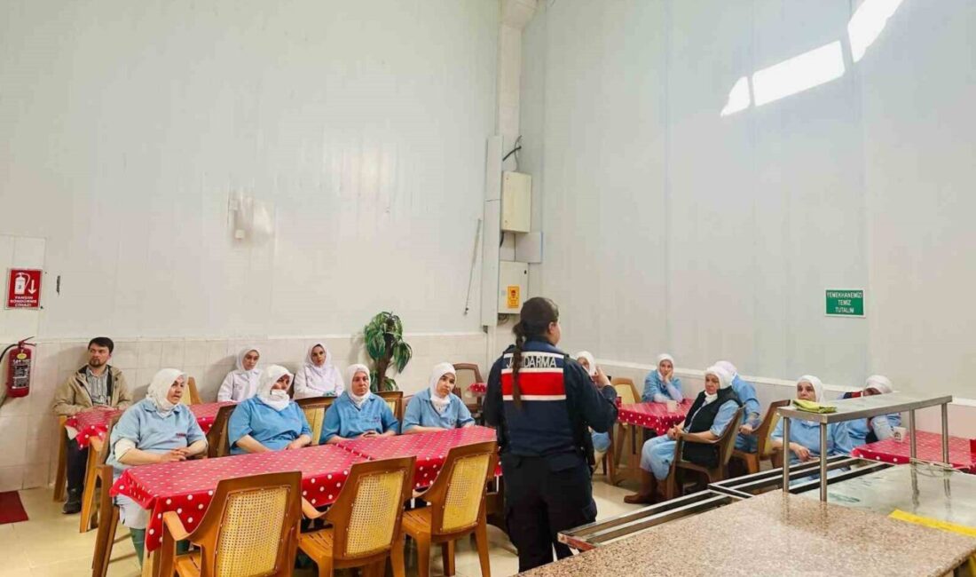 Gediz İlçe Jandarma Komutanlığı, Merkez Karakol Komutanlığı sorumluluk alanında faaliyet