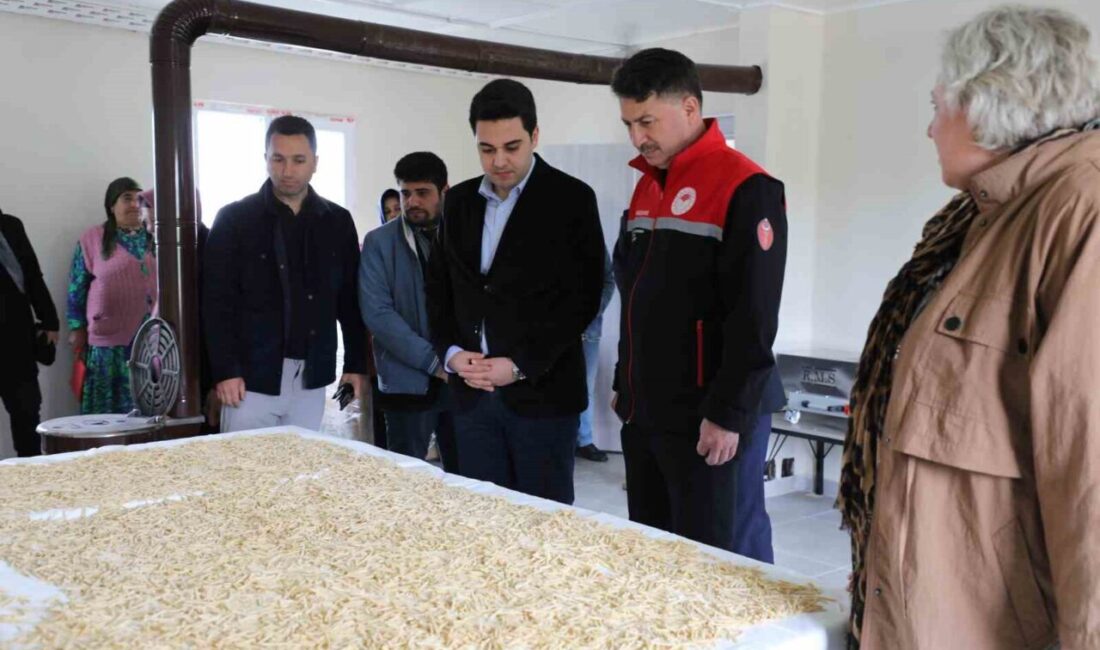 Eskişehir’de ’Frig Vadisi Ekolojik Köy Projesi’ çerçevesinde, Han İlçesi’ne Gökçekuyu