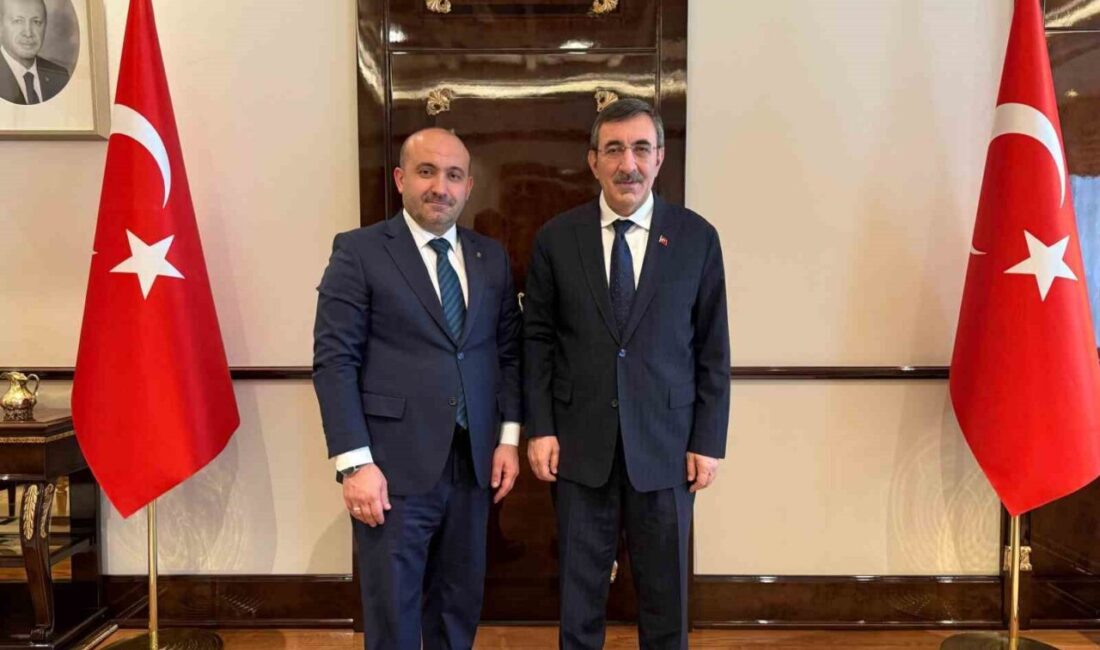 AK Parti Eskişehir İl Başkanı Gürhan Albayrak, Cumhurbaşkanı Yardımcısı Cevdet