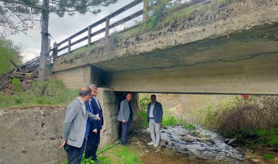 Hisarcık Kaymakamı Muhammet Samet Bahar başkanlığındaki heyet, ilçede 25 ve