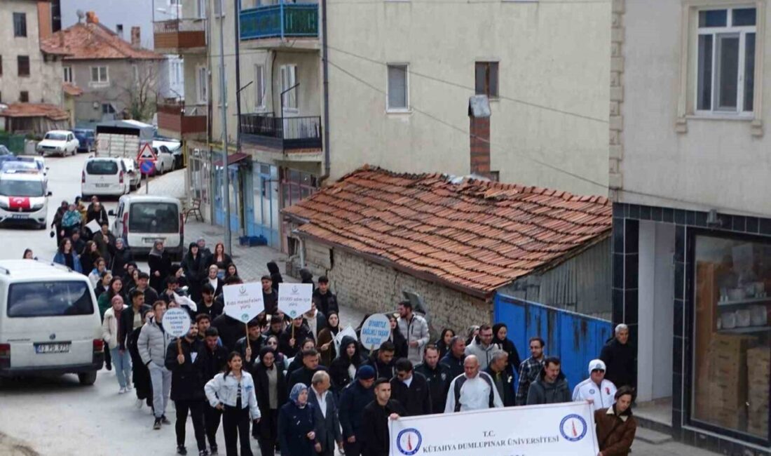 Kütahya Dumlupınar Üniversitesine bağlı Hisarcık Meslek Yüksek Okulu koordinasyonunda, Kaymakamlık