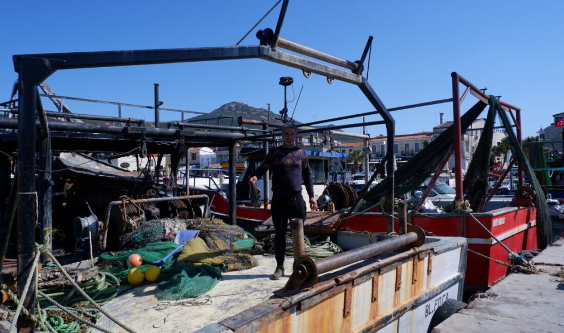 İZMİR (AA) – İzmir'in Foça ilçesinde, balıkçı barınağında çıkan yangında