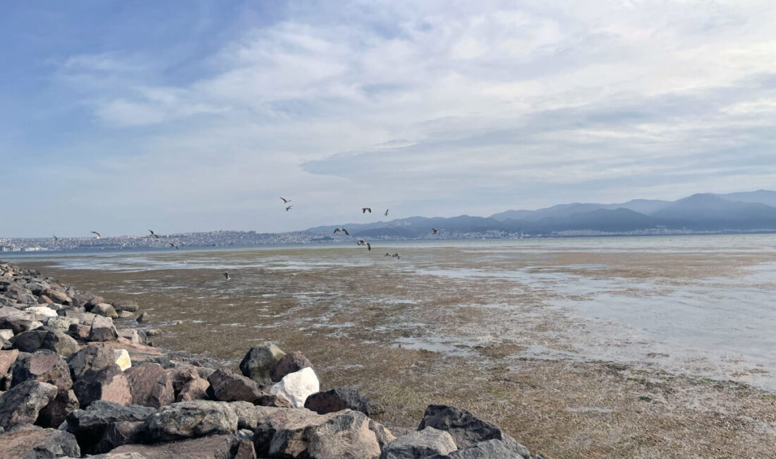 İZMİR (AA) – İzmir’in Karşıyaka ilçesinde denizin kıyıya yakın bazı