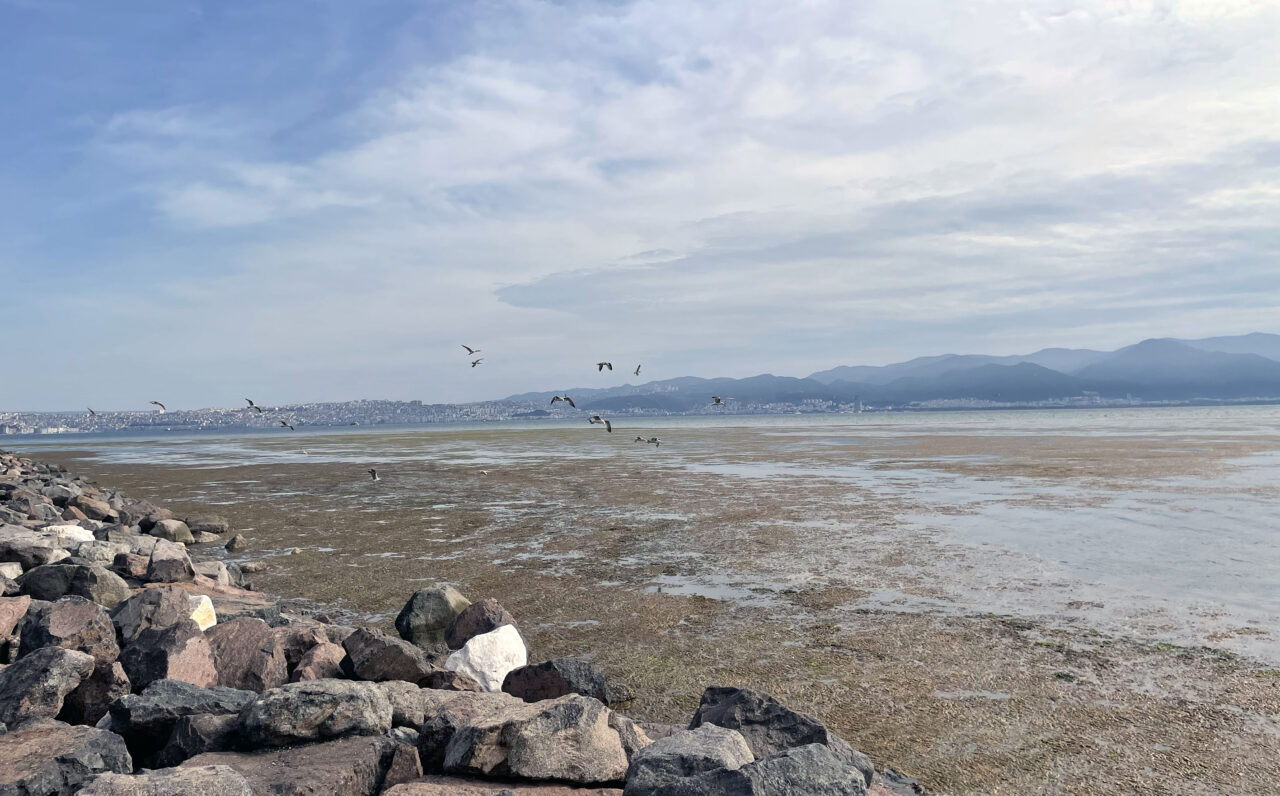 İZMİR (AA) – İzmir’in Karşıyaka ilçesinde denizin kıyıya yakın bazı