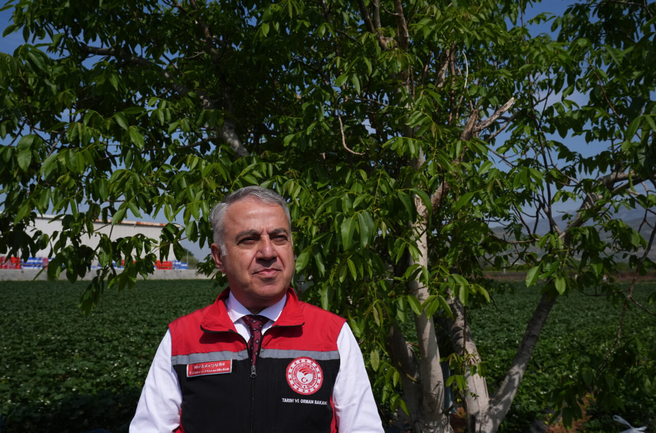 İZMİR (AA) – İzmir Tarım ve Orman Müdürü Mustafa Şahin,
