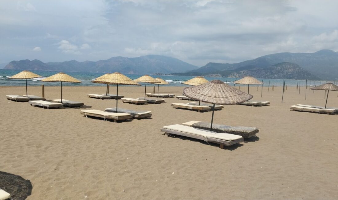 MUĞLA (AA) – Her yıl binlerce deniz kaplumbağasına ev sahipliği