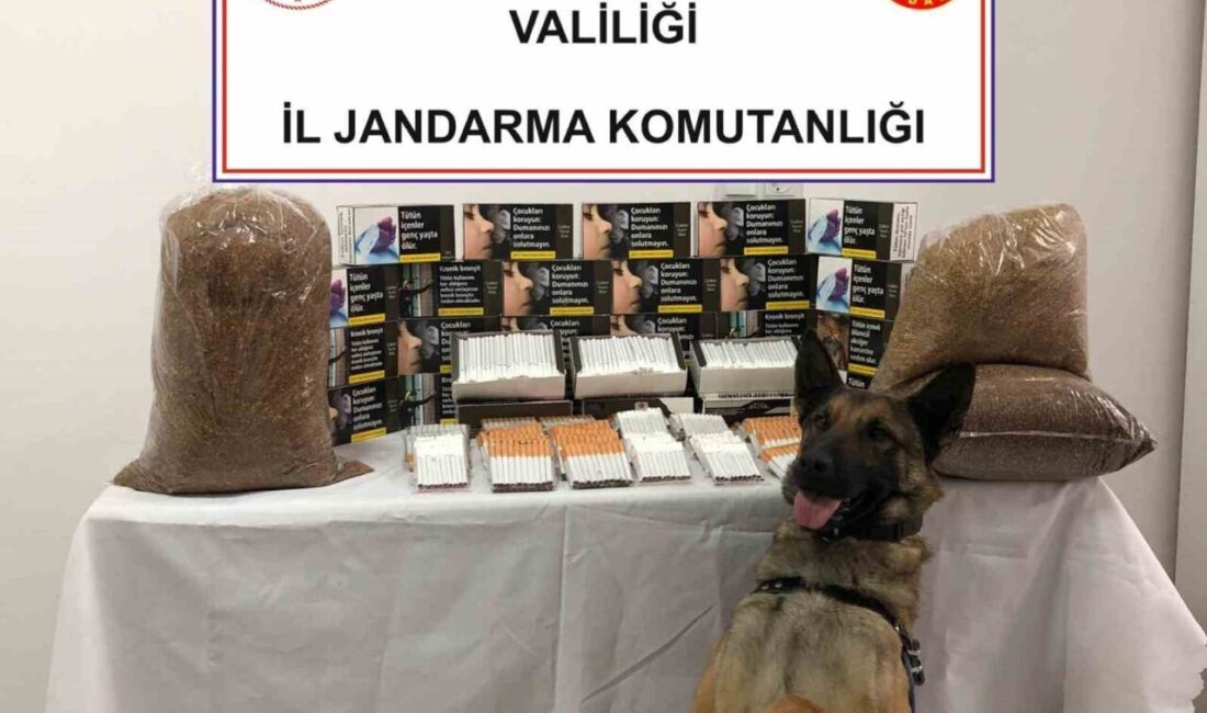 Afyonkarahisar’da jandarma bir iş yerine yapılan baskında 6 bin 320