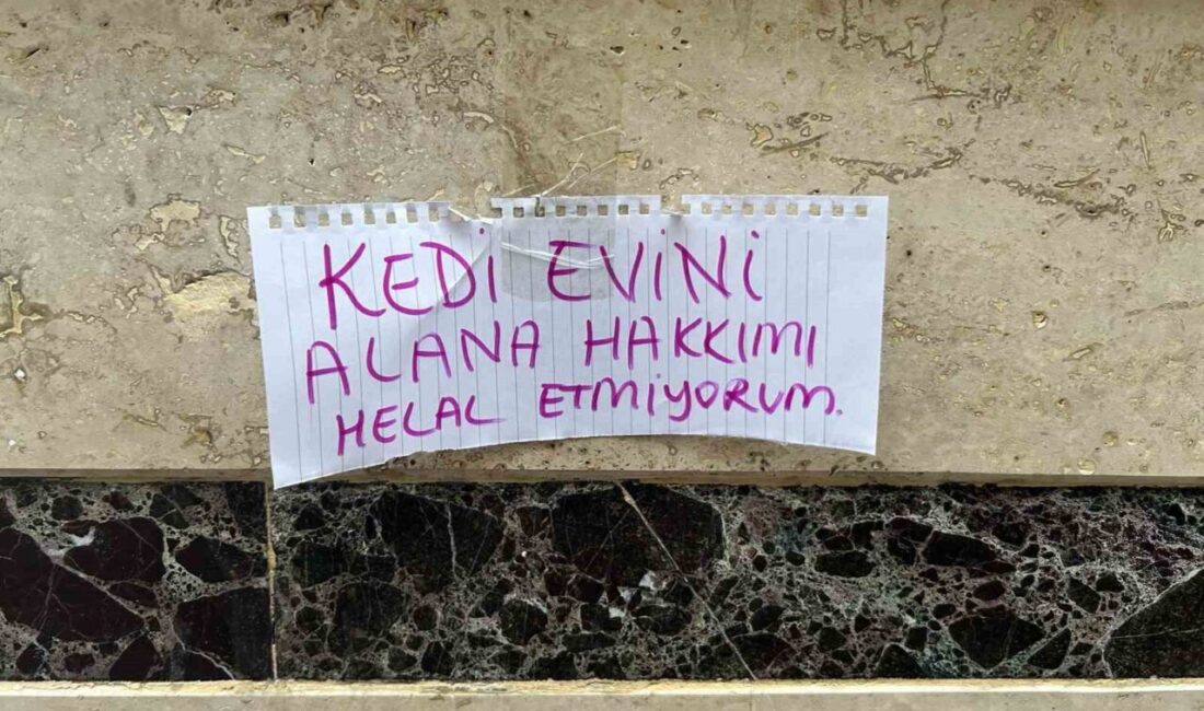 Eskişehir’de bir hayvanserver vatandaş, beslediği kedi evinin bulunduğu yerden alınmasına,