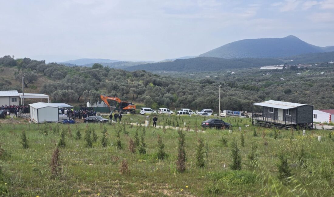İZMİR (AA) – İzmir'in Kemalpaşa ilçesinde tarım arazisi üzerinde bulunan