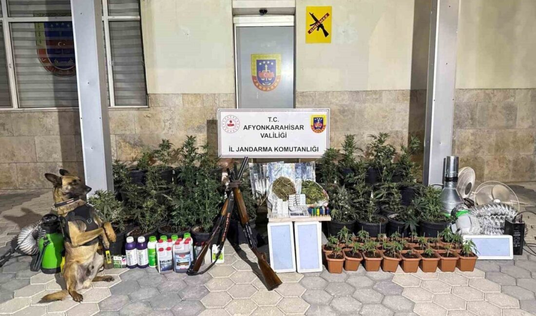 Afyonkarahisar’da evlerine kurdukları mevsimsel iklimlendirme sistemi ile kenevir yetiştiren 2