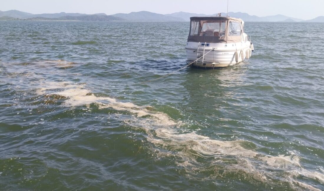 MUĞLA (AA) – Muğla’da sakin şehir ünvanlı Köyceğiz'deki gölün kıyısında