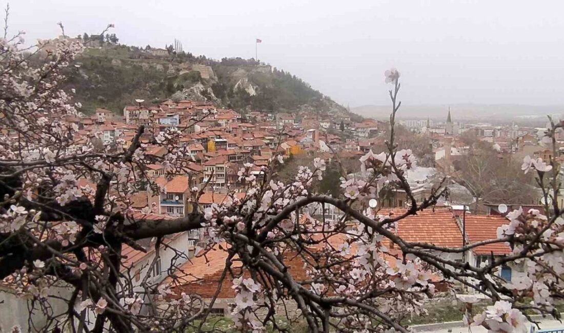 Kütahya’da havanın ısınmasıyla birlikte doğa da uyanmaya başlayarak badem ağaçları