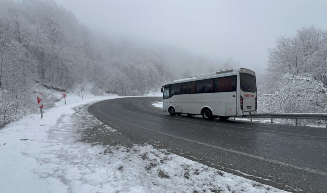 KÜTAHYA (AA) – Kütahya'nın Domaniç ilçesi ile Bursa'nın İnegöl ilçesini