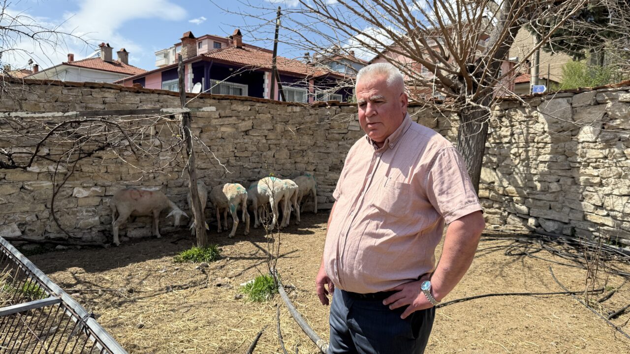 KÜTAHYA (AA) – Kütahya'nın Domaniç ilçesinde sahipsiz köpeklerin saldırdığı 7