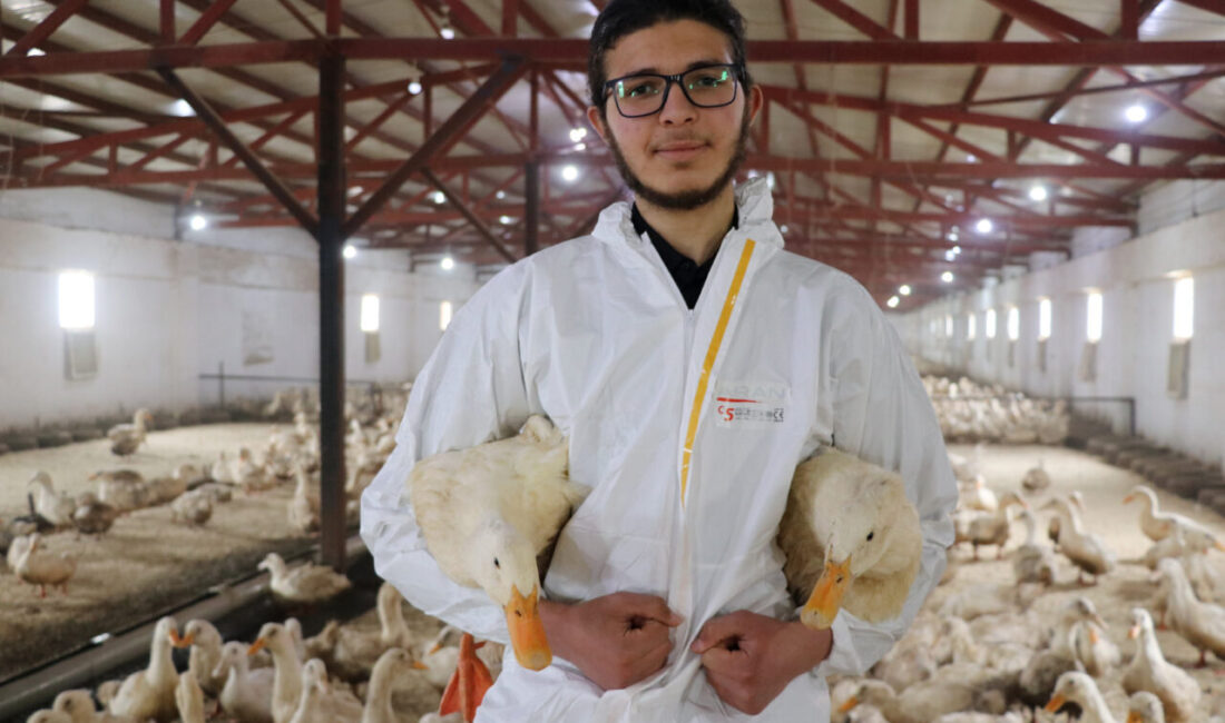 - Kütahya'da kiraladığı kıraç arazide çiftlik kuran Servet Abdelwahab, biri