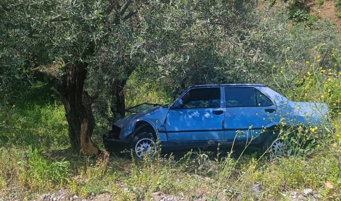 İZMİR (AA) – İzmir'in Ödemiş ilçesinde ağaca çarpan otomobilde yaralanan