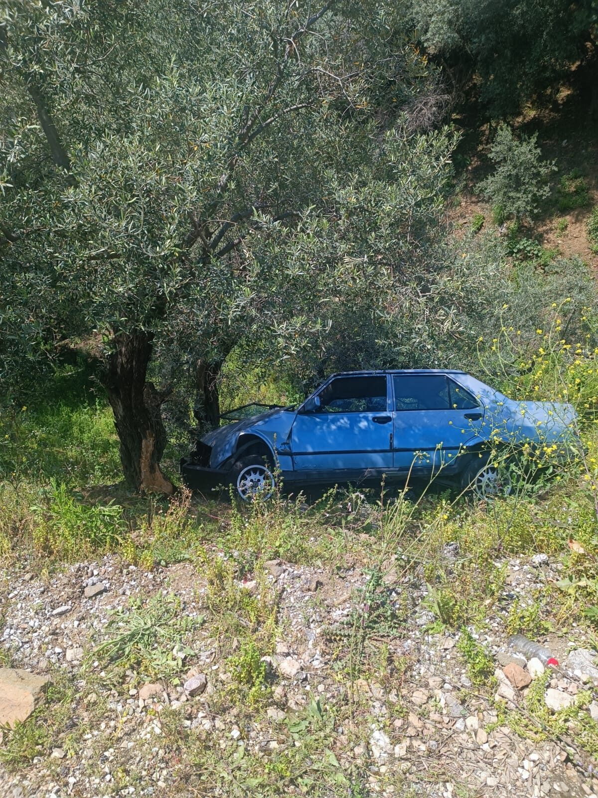İZMİR (AA) – İzmir'in Ödemiş ilçesinde ağaca çarpan otomobilde yaralanan