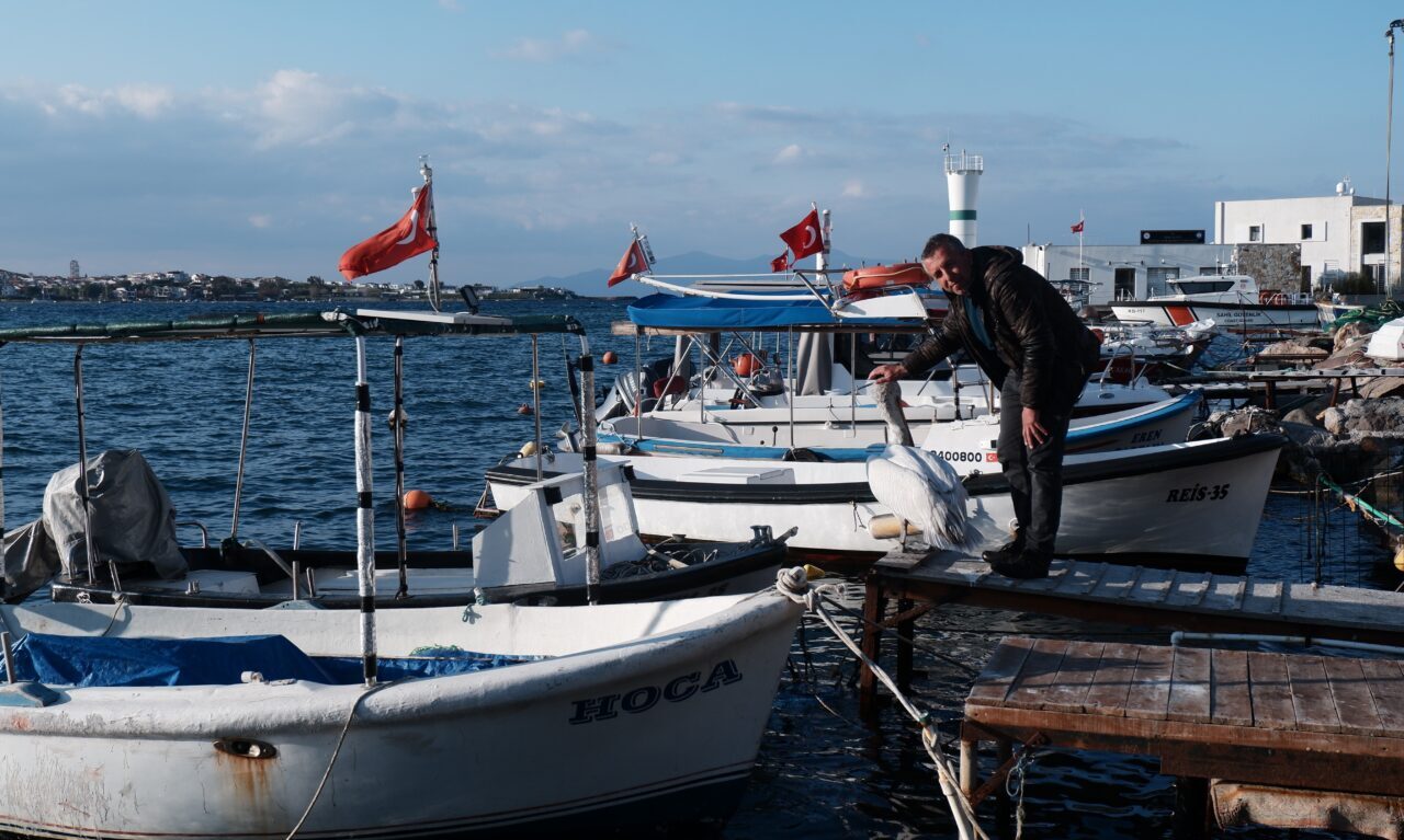 İZMİR (AA) – İzmir'in Foça ilçesinde yaralı olarak sığındığı balıkçı