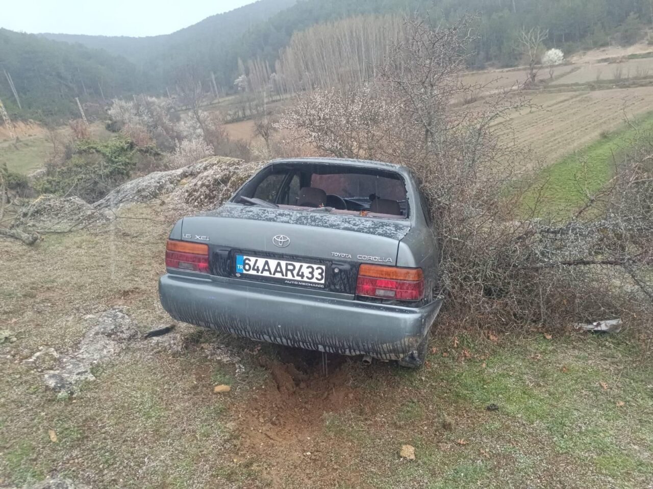 UŞAK (AA) – Uşak'ın Banaz ilçesinde şarampole devrilen otomobilin sürücüsü