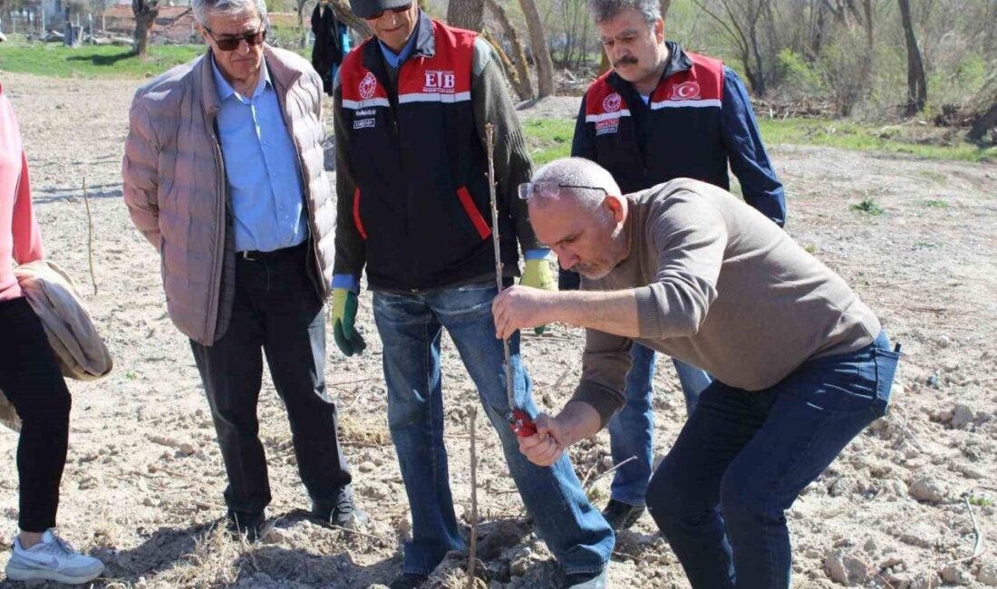 Eskişehir’de yükümlülerin katılımıyla meyve fidanlarında dikim budaması eğitimi gerçekleştirildi. Eskişehir
