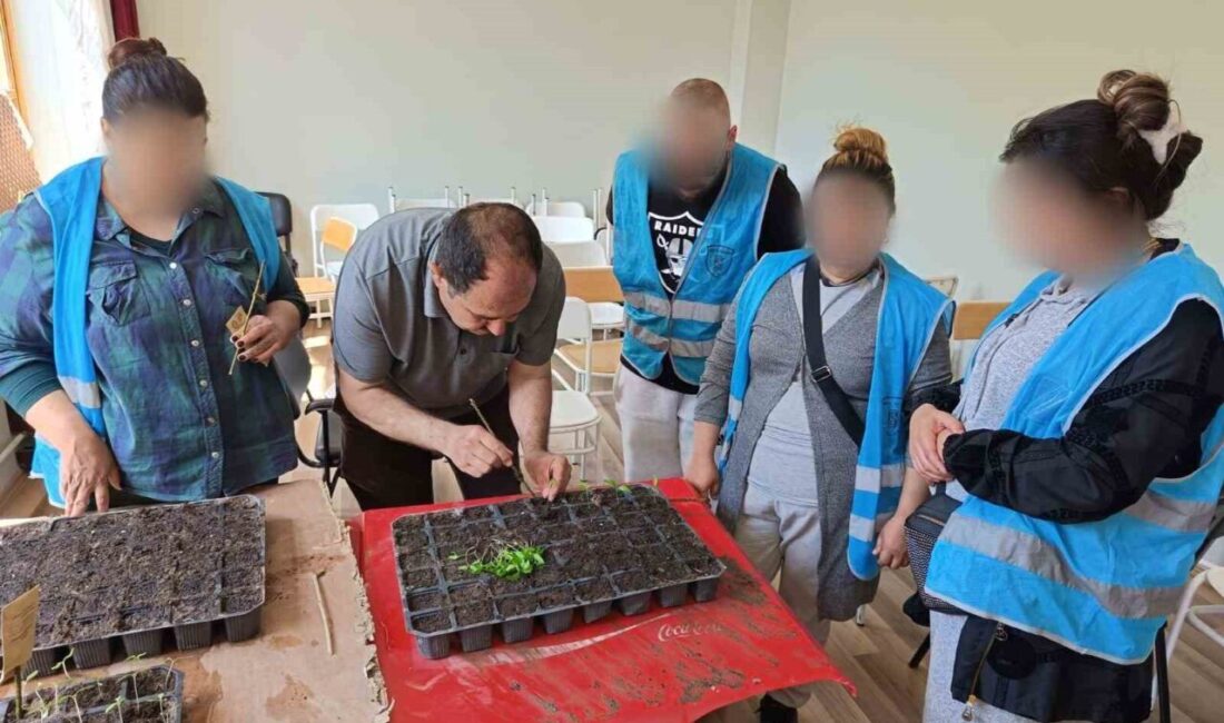 Eskişehir’de yükümlüler tarafından viyollere dikilen ve yetiştirilecek tohumlardan çıkacak ürünlerin
