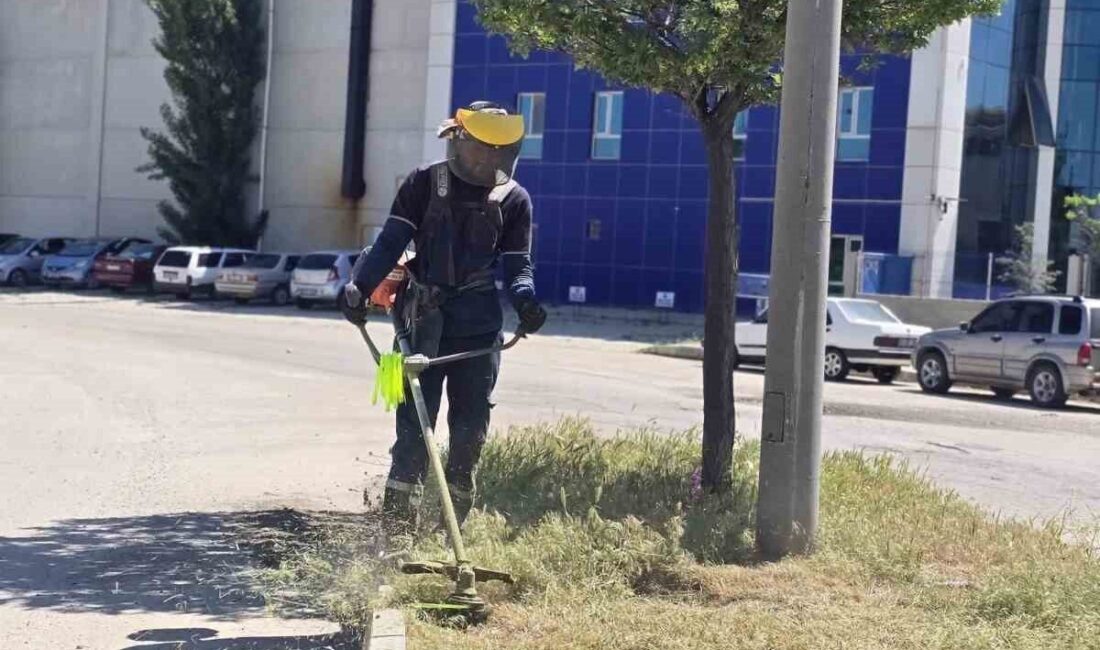 Afyonkarahisar Organize Sanayi Bölgesi (OSB) Müdürlüğü yeşil alanların artırılmasına yönelik