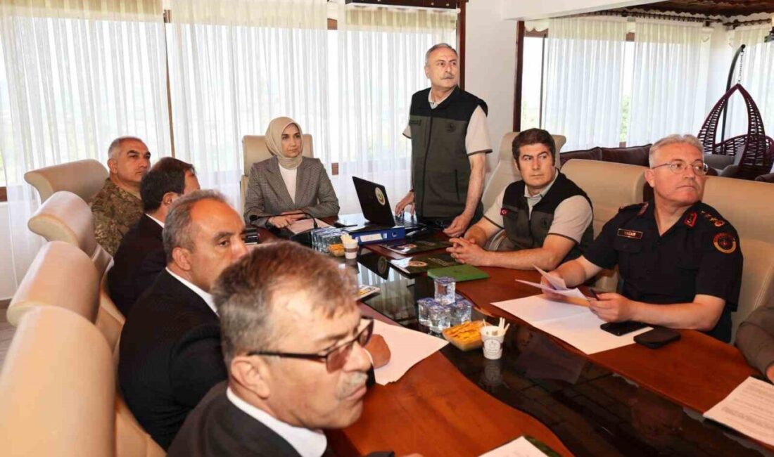 Afyonkarahisar’da orman yangınlarına karşı alınacak önlemler ve yürütülecek çalışmalar, Vali