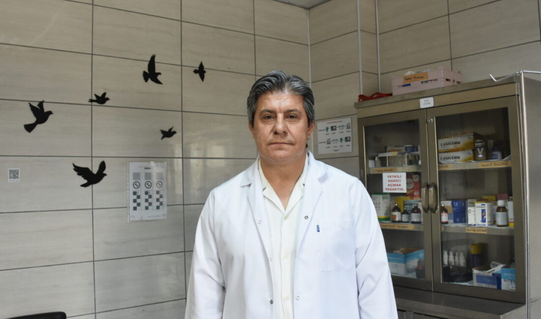 AFYONKARAHİSAR (AA) – Afyon Kocatepe Üniversitesi (AKÜ) Yaban Hayatını Kurtarma