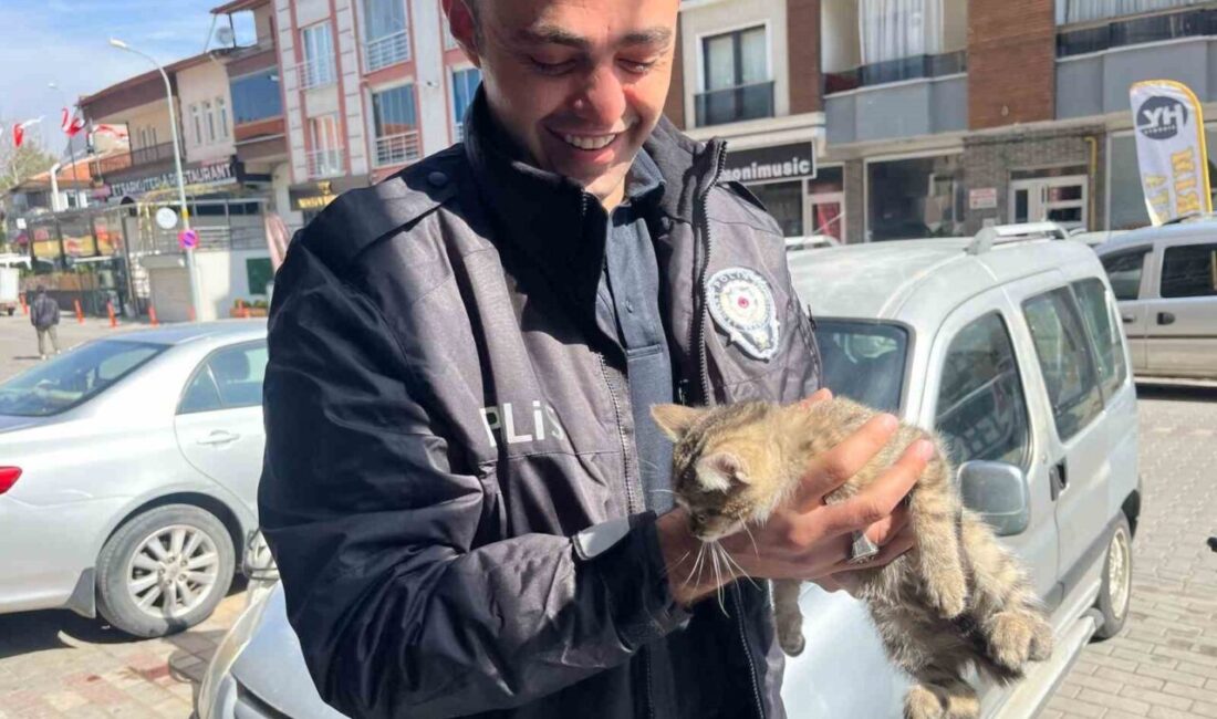 Kütahya’nın Tavşanlı ilçesinde bir aracın motor kısmına giren yavru kedi,