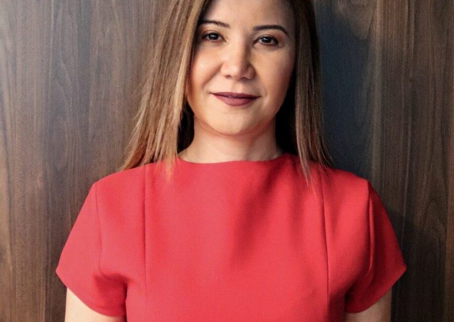 - Bacacı Yatırım Holding İcra Kurulu Başkan Yardımcısı Ayla Tanıl:
-