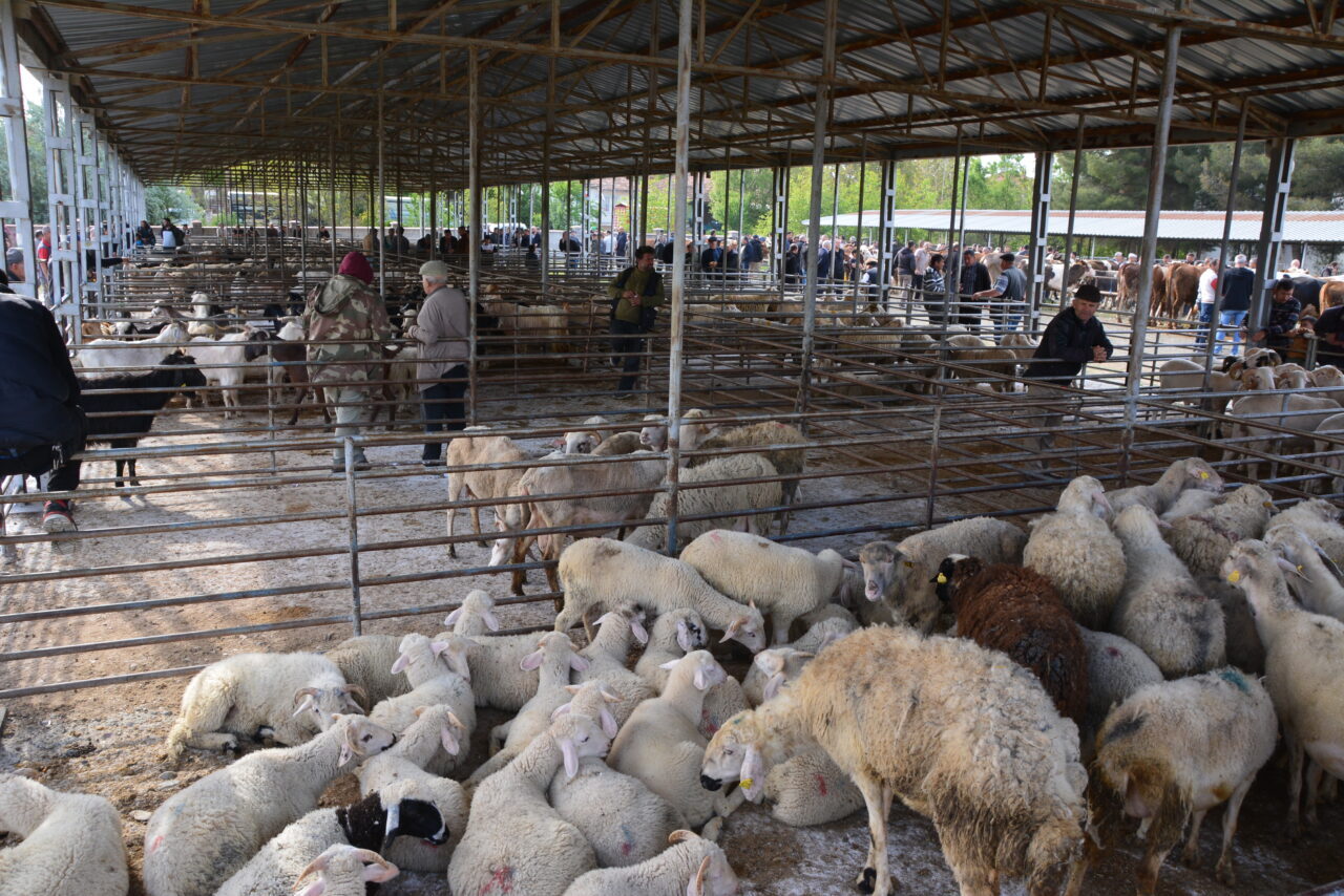 UŞAK (AA) – Uşak'ın Banaz ilçesinde cumartesi günleri kurulan ve