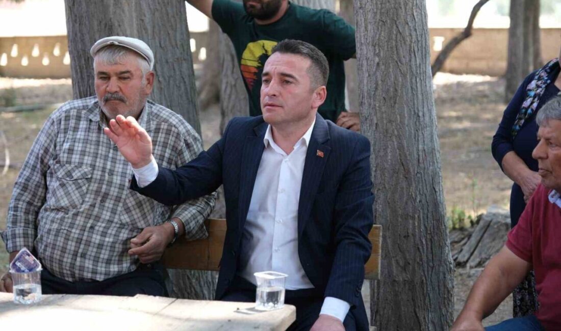 Sivrihisar Belediye Başkanı Habil Dökmeci, güneş enerji üretim tesislerine karşı