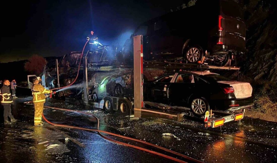 Bilecik’te seyir halinde bir anda motor bölümden alevler yükselen tırın