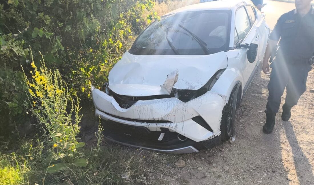 MUĞLA (AA) – Muğla'nın Bodrum ilçesinde, otomobilin Elektronik Denetleme Sistemi