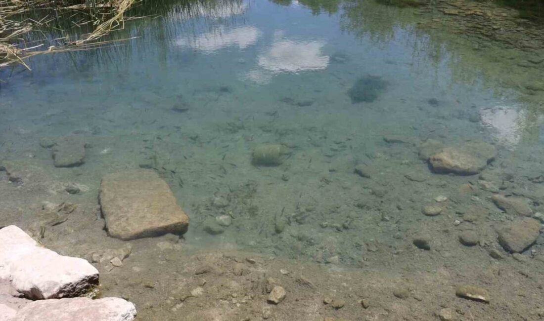 ESKİŞEHİR (İHA) – Eskişehir’in Günyüzü ilçesinde bulunan tarihi Bizans döneminden