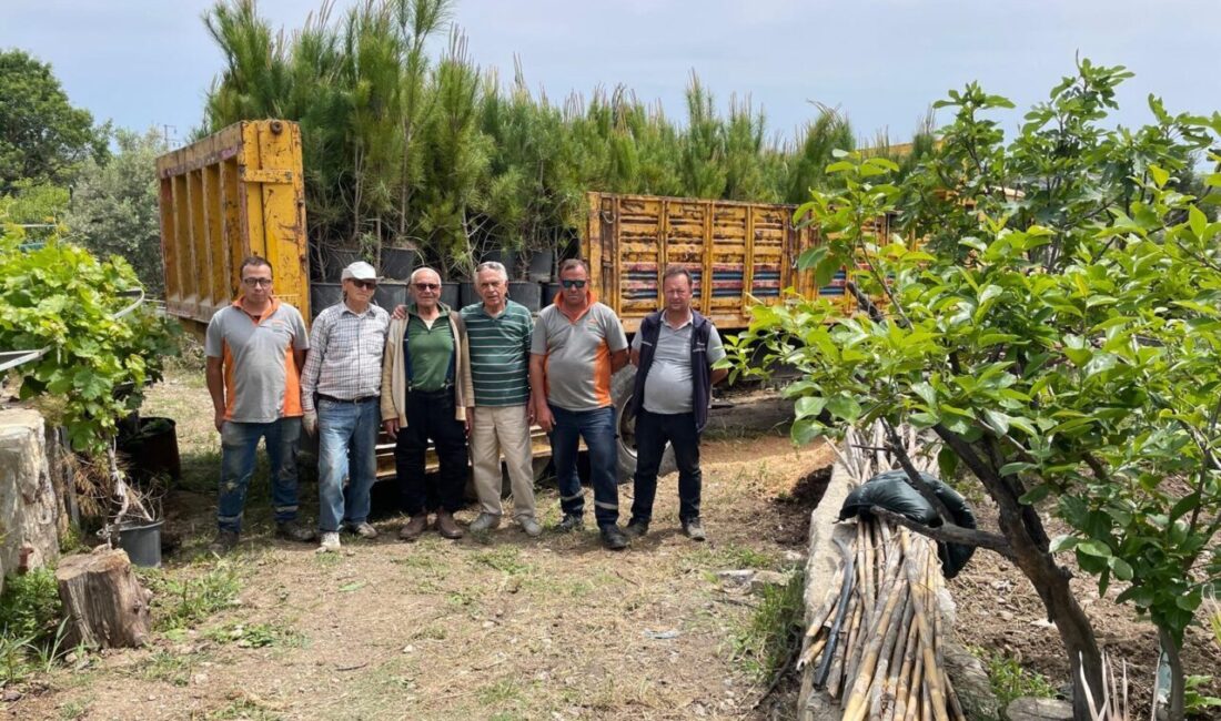 MUĞLA (AA) – Muğla'nın Datça ilçesinde "Doğa Dede" olarak tanınan