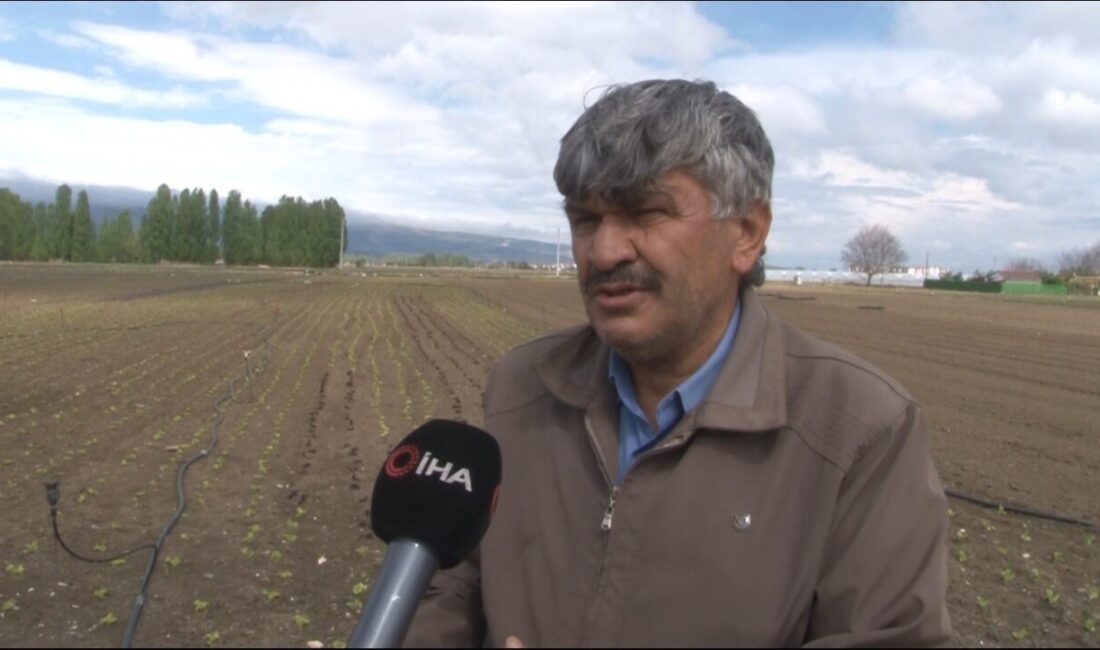 Eskişehir Yeşil Sakarya Üreticiler Birliği Başkanı Süleyman Buluşan, yağış yetersizliğinin