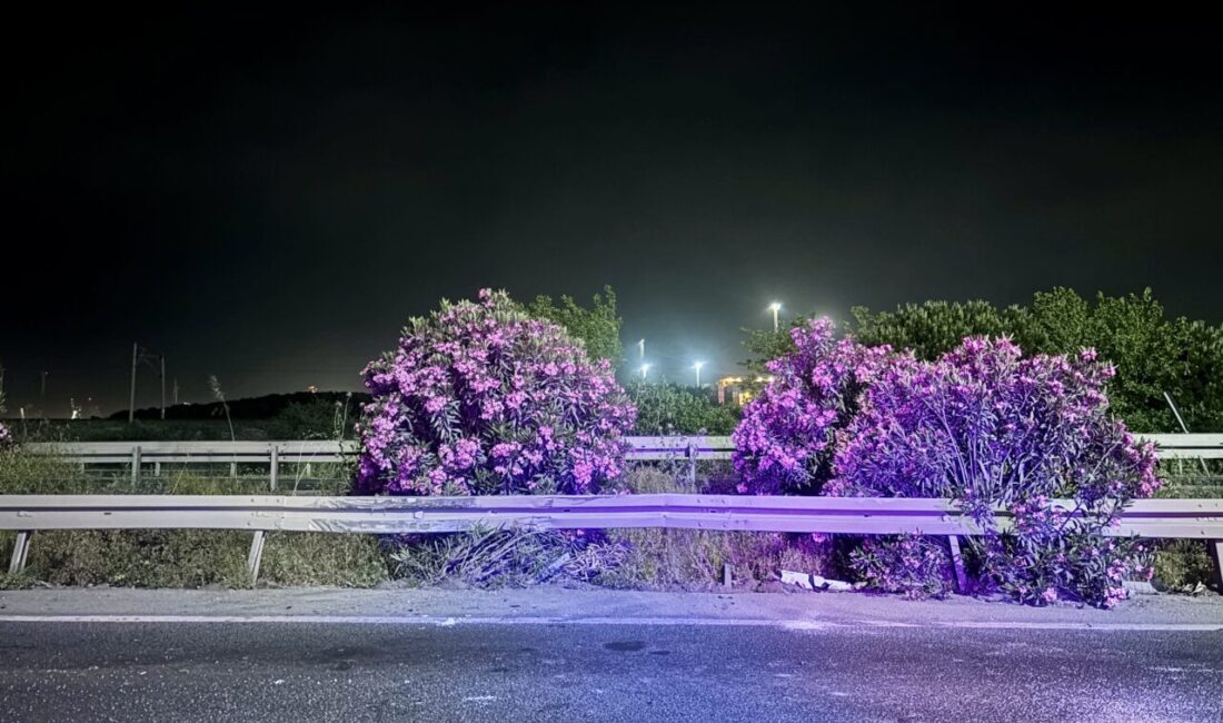 İZMİR (AA) – İzmir'in Aliağa ilçesinde tırın bariyere çarpması sonucu