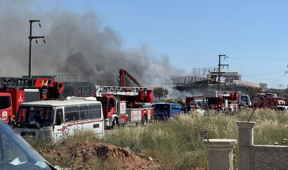 İZMİR (AA) – İzmir'in Torbalı ilçesinde sandalye fabrikasında çıkan yangına