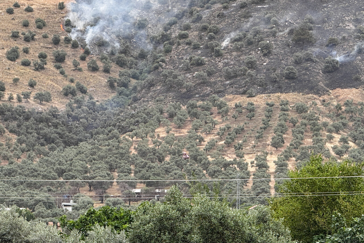 İZMİR (AA) – İzmir'in Bayındır ilçesinde zeytinlik alanda çıkan yangın