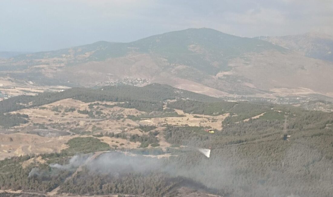 İZMİR (AA) – İzmir'in Aliağa ilçesinde ormanlık alanda çıkan yangına